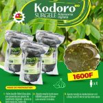 PRÉ SAUCE KODORO (500g)