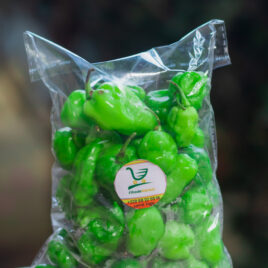 Piment Vert