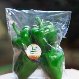 Poivron vert